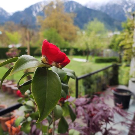 Premier Pahalgam Hotel Kültér fotó